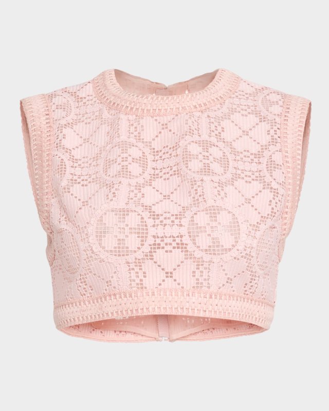 Embroidered Lace Sleeveless Crop Top